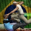 Capoeira Fighting 3D Shaolin