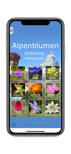 Alpenblumen bestimmen