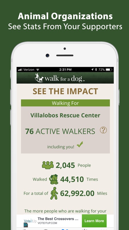 dog walking organizations