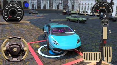 Car Parking - Pro Driver 2021 screenshot 2