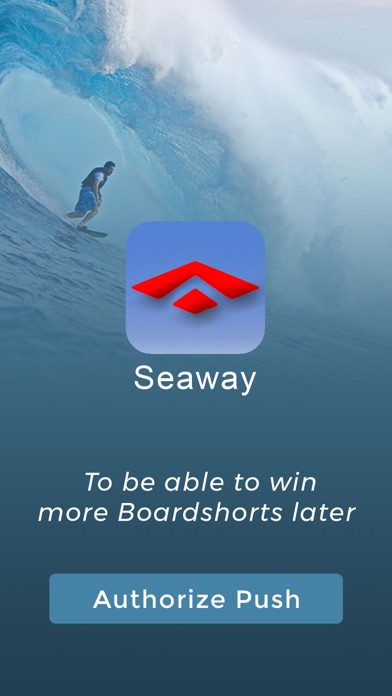 Seaway.Surf screenshot 2
