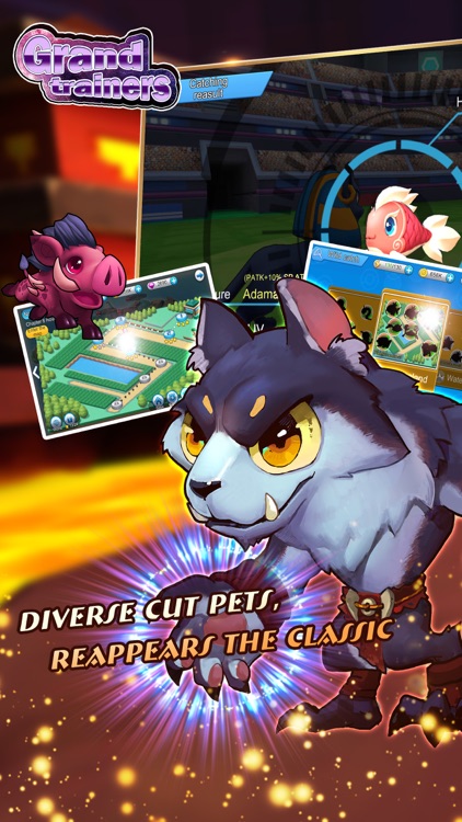 Grand trainers