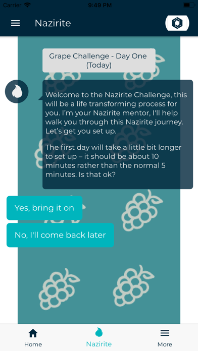 Nazirite Challenge screenshot 3