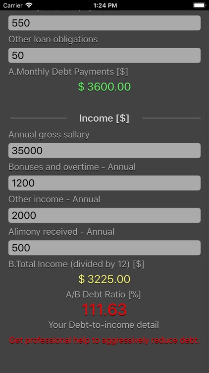 Debt 2 Income Calculator screenshot-3