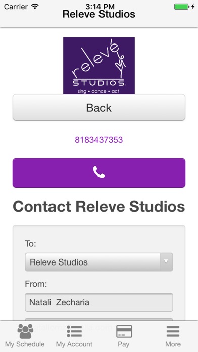 Releve Studios screenshot 3
