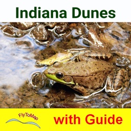 Indiana Dunes National Park - Standard