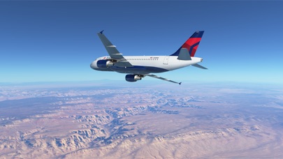 Infinite Flight screenshot1
