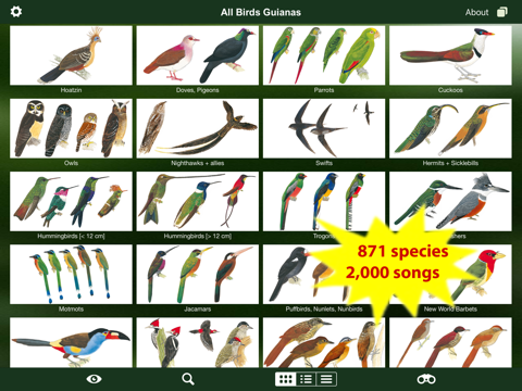 All Birds Guianas screenshot 3