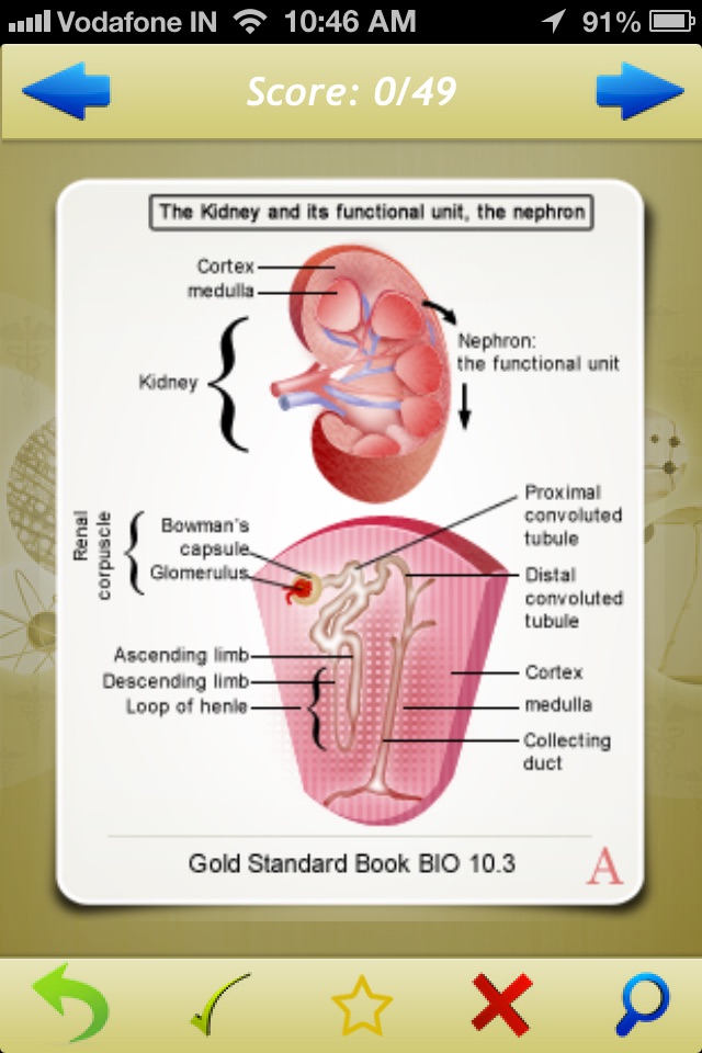 Gold Standard MCAT Flashcards screenshot 4