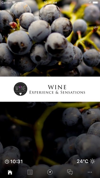 Wine Experience and Sensations