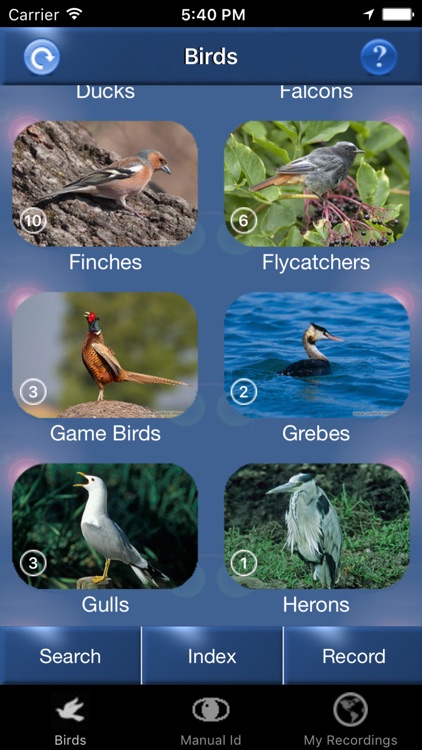 Bird Song Id Netherlands - Automatic Recognition