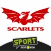 Scarlets Rugby