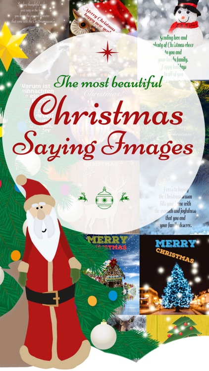 Christmas Greeting Cards - NEW