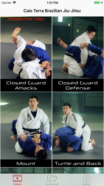 Caio Terra Brazilian Jiu-Jitsu