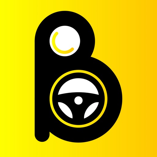 Bounce Driver & Partner Icon