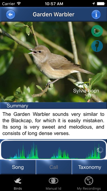 Bird Song Id Netherlands - Automatic Recognition