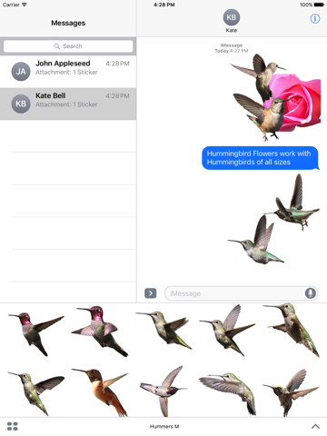 Hummingbirds - Medium (Retina) - náhled