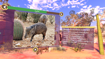 PI VR Wildlife screenshot 3