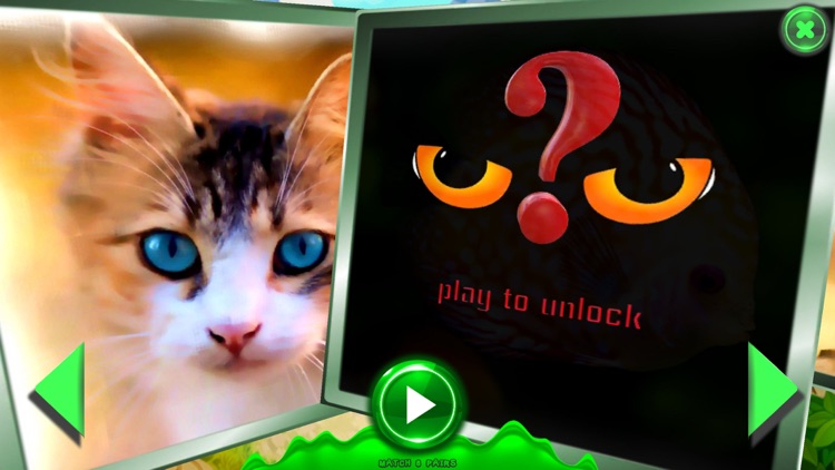 Playzoon Memory Animals screenshot-7