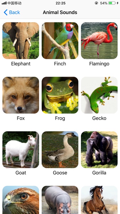 Animal Sounds Voice Simulator