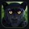 Have you ever wondered what it would be like to embody a wild animal
