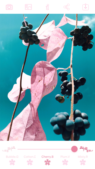 Pinkl - Pink filter camera 2.0.0 IOS -