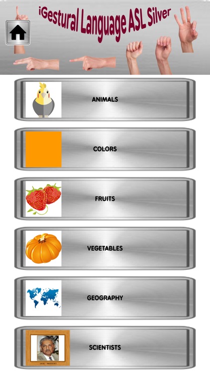 iGestural Language ASL Silver screenshot-3