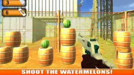 Game screenshot Fruit Shooter:Mercenary Relaxi mod apk