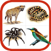 Wildlife Southern Africa - mydigitalearth.com