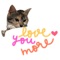 Chat With Cute Cat Sticker
