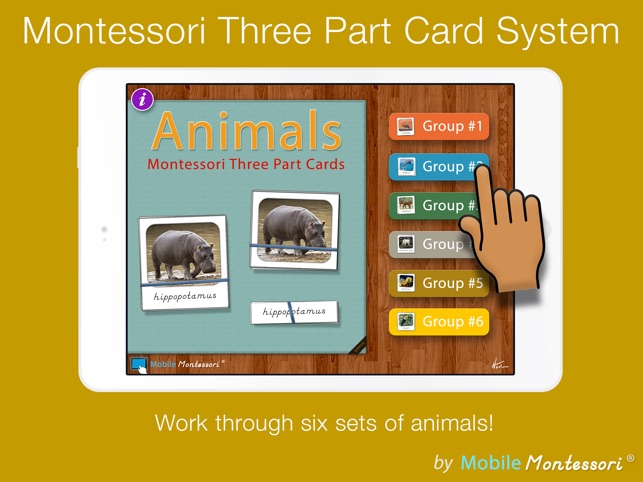 Montessori Three Part Cards(圖5)-速報App