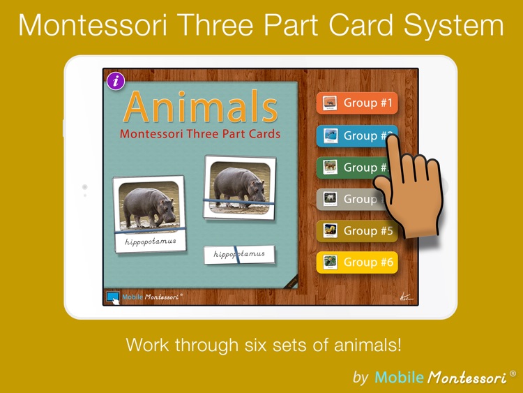 Montessori Three Part Cards screenshot-4