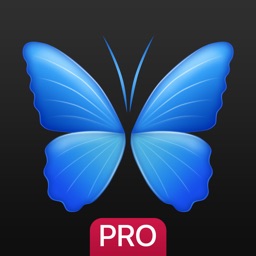 Everpix Pro Apple Watch App