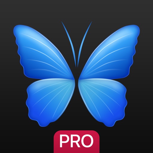 Everpix Pro - HD Wallpapers and Backgrounds