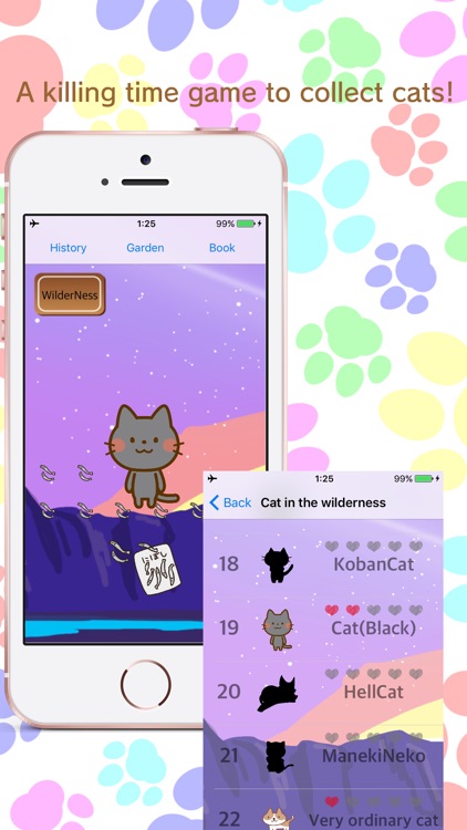 boiled fish for cats