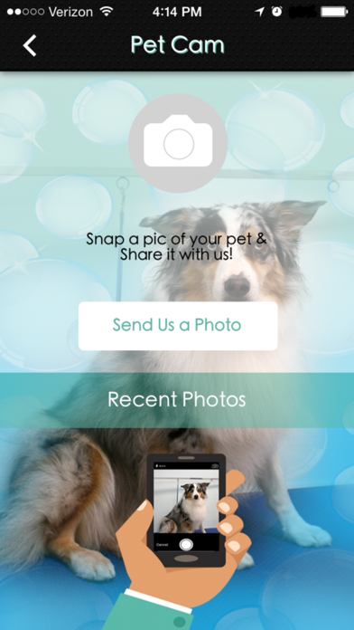 How to cancel & delete Palm Coast Pet Spa from iphone & ipad 4