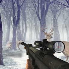 Activities of Sniper Animal Shooting