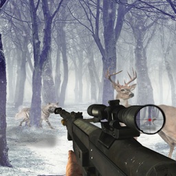 Sniper Animal Shooting