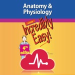 Anatomy  Physiology MI Easy
