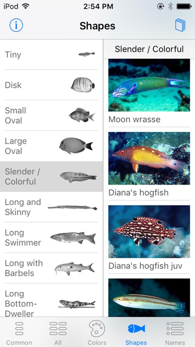 Oman Fish ID screenshot 4