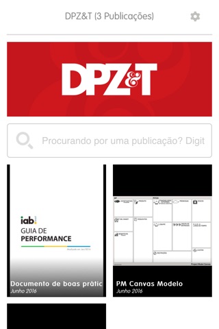 DPZ&T screenshot 2
