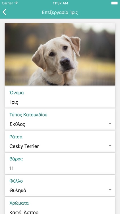 Petlocator