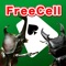 This application is a free cell card game using playing card beetles and stag beetles all over the world