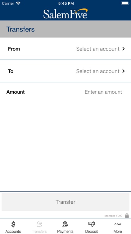 Salem Five Banking screenshot-4
