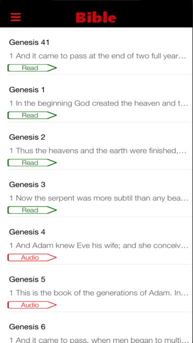 Bible KJV audio screenshot 3