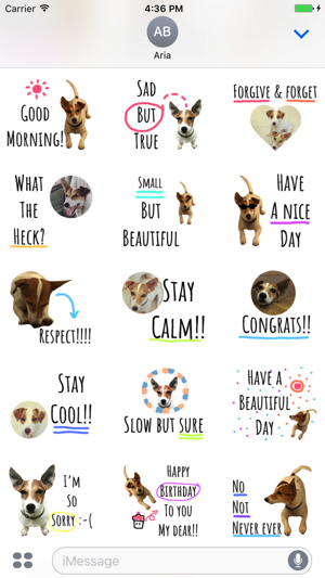 Chat With Jack Russell Dog(圖2)-速報App