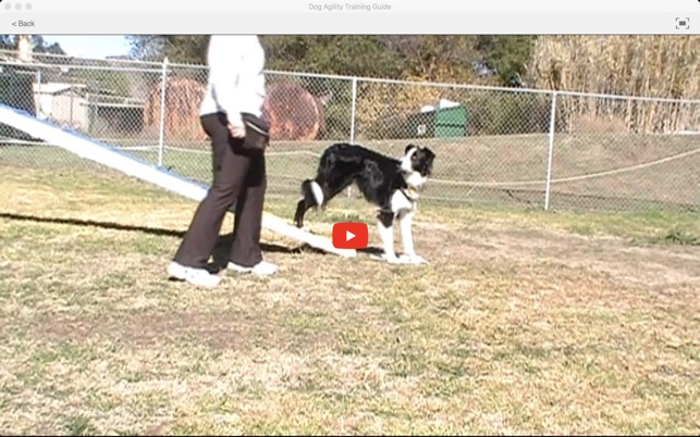 Dog Agility Training Guide(圖4)-速報App