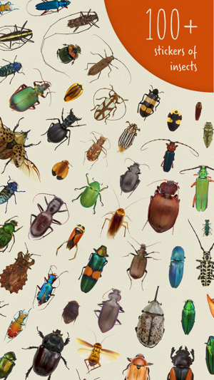 100+ Insects Collection