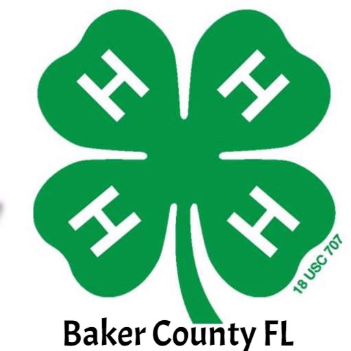 Baker County 4-H icon