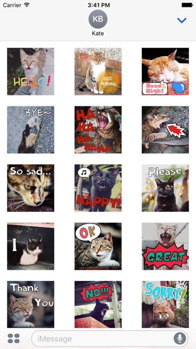 Meow Meow Not Say - Ani-emoji screenshot 2